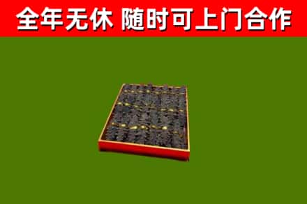 调兵山回收海参